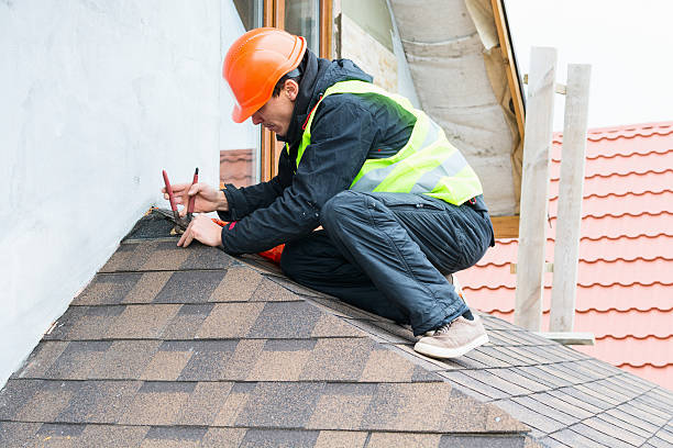 Best Roof Repair Services  in Aurora, MN
