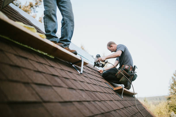 Best Storm Damage Roof Repair  in Aurora, MN