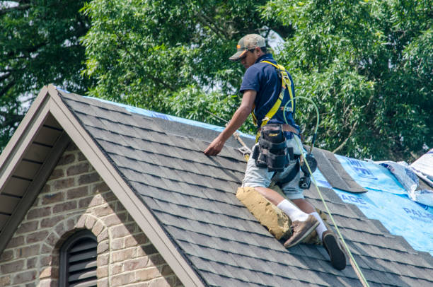 Best Roof Leak Repair  in Aurora, MN